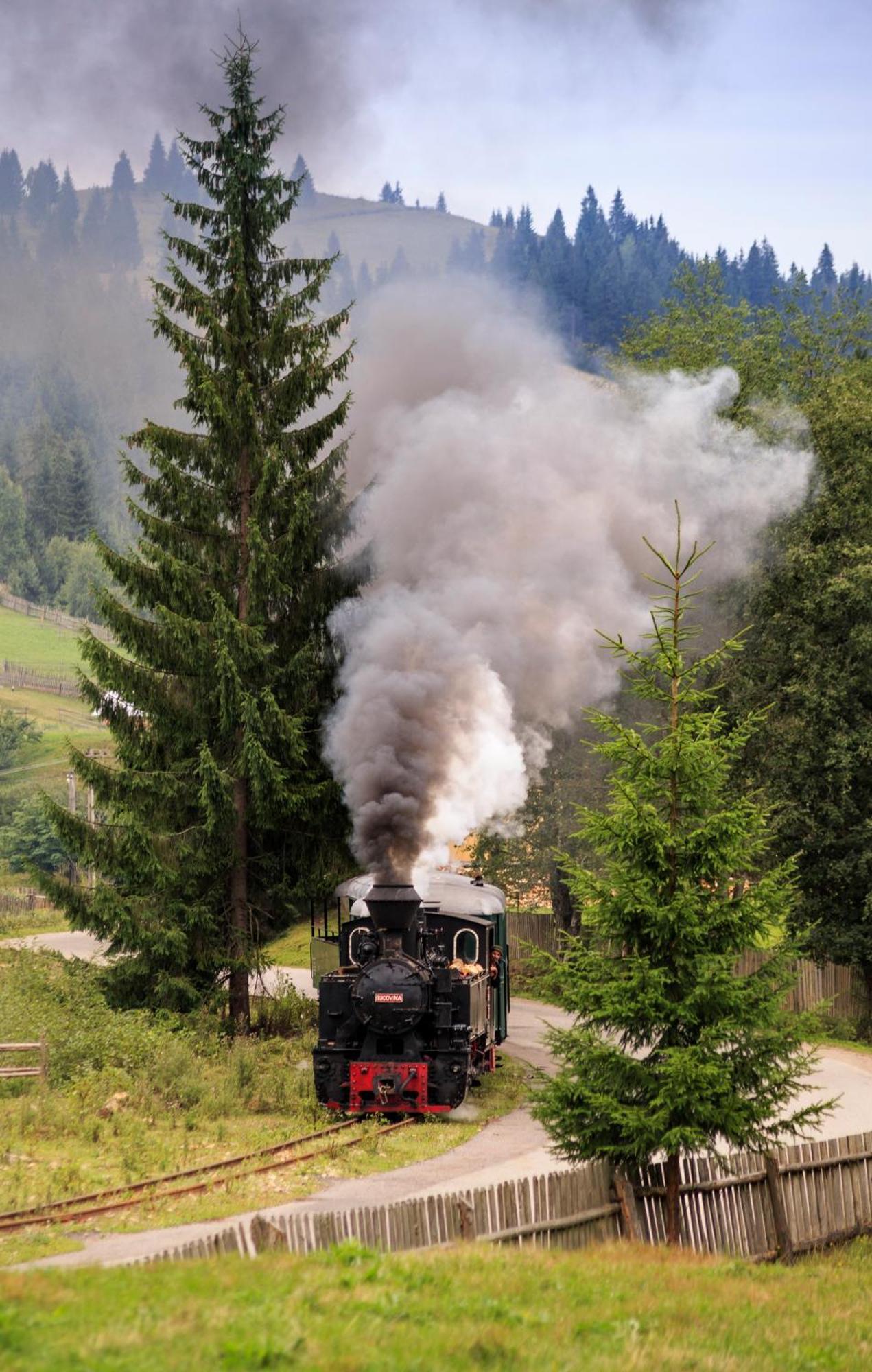 Bucovina Exclusiv Hotel Vámfalu Kültér fotó